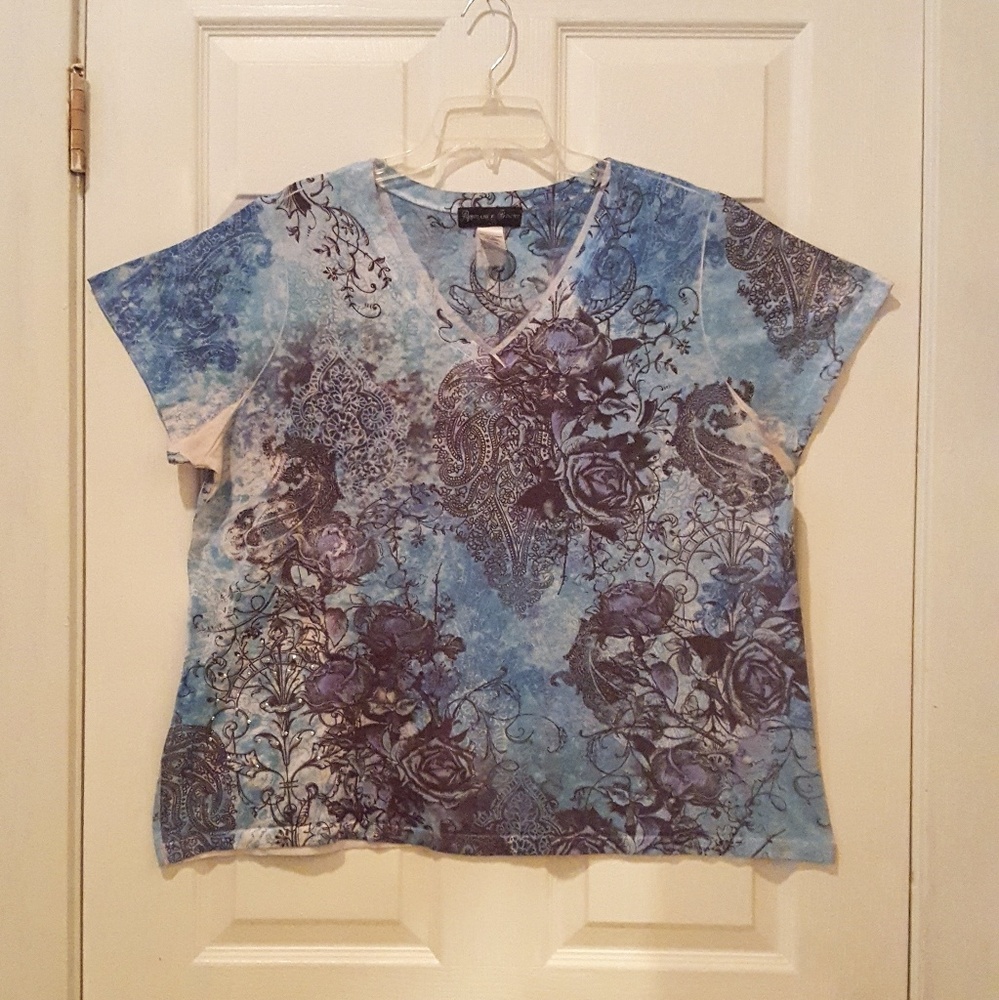 $ 3/$20  Appropriate Behavior V-Neck Shirt 2X $